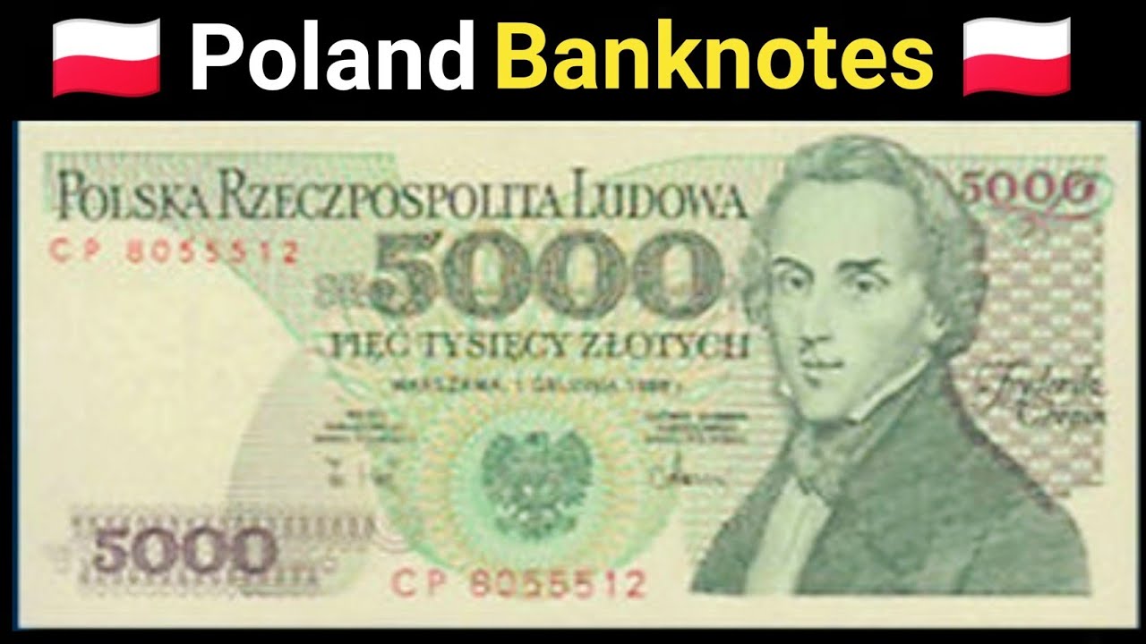 🇵🇱 Poland Currency 🇵🇱 || Poland Banknotes || Polish Zloty || Poland Money || Europe Money
