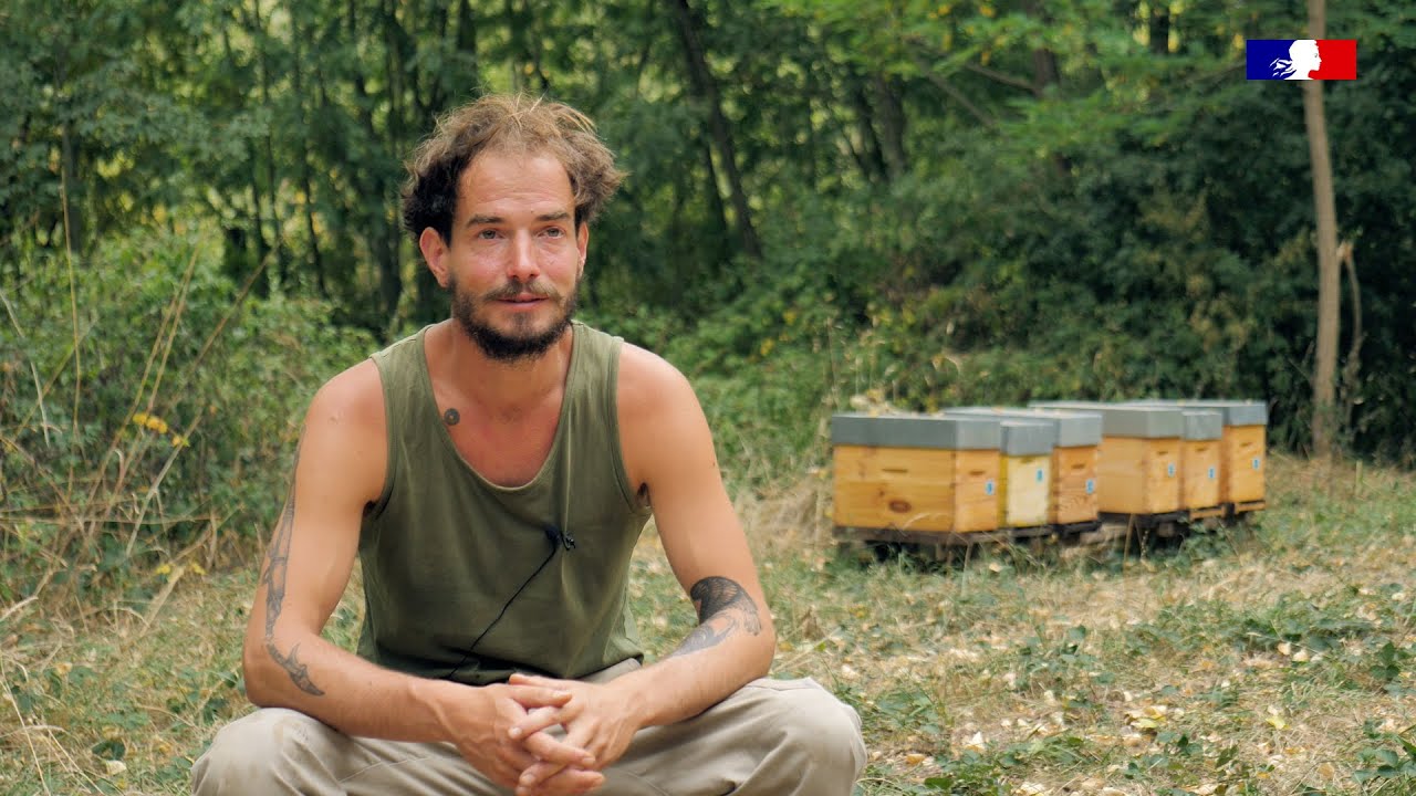 Reconversion en apiculture : Nathan témoigne