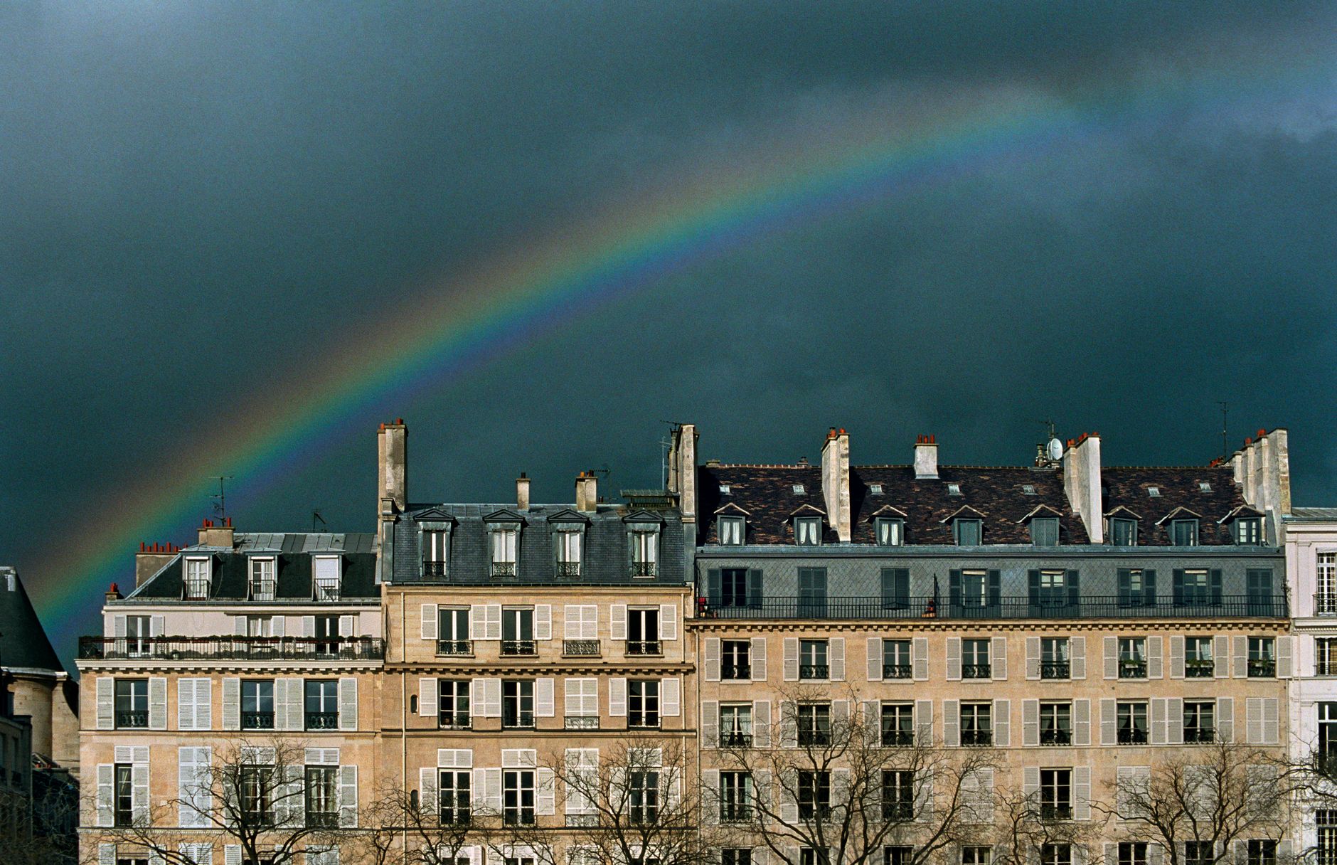 Immobilier