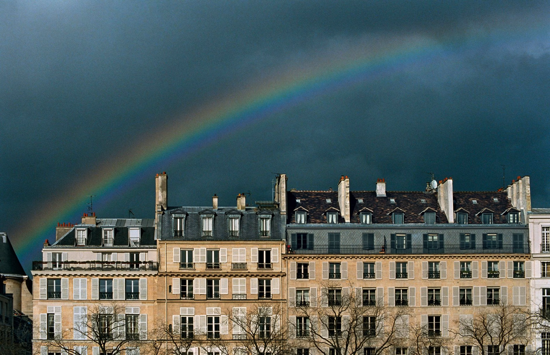 Immobilier