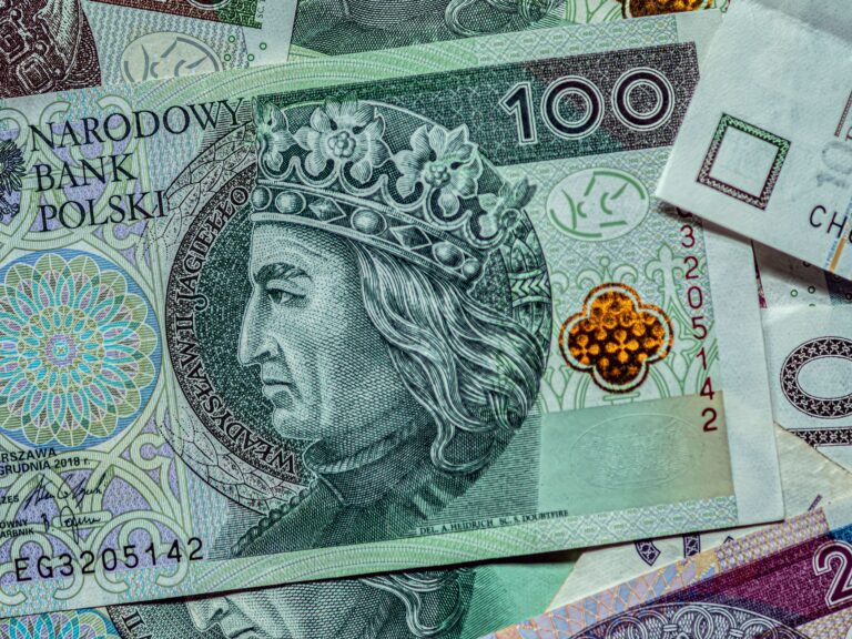 Conversion eur/pln en direct : suivez le taux euros vers zloty polonais